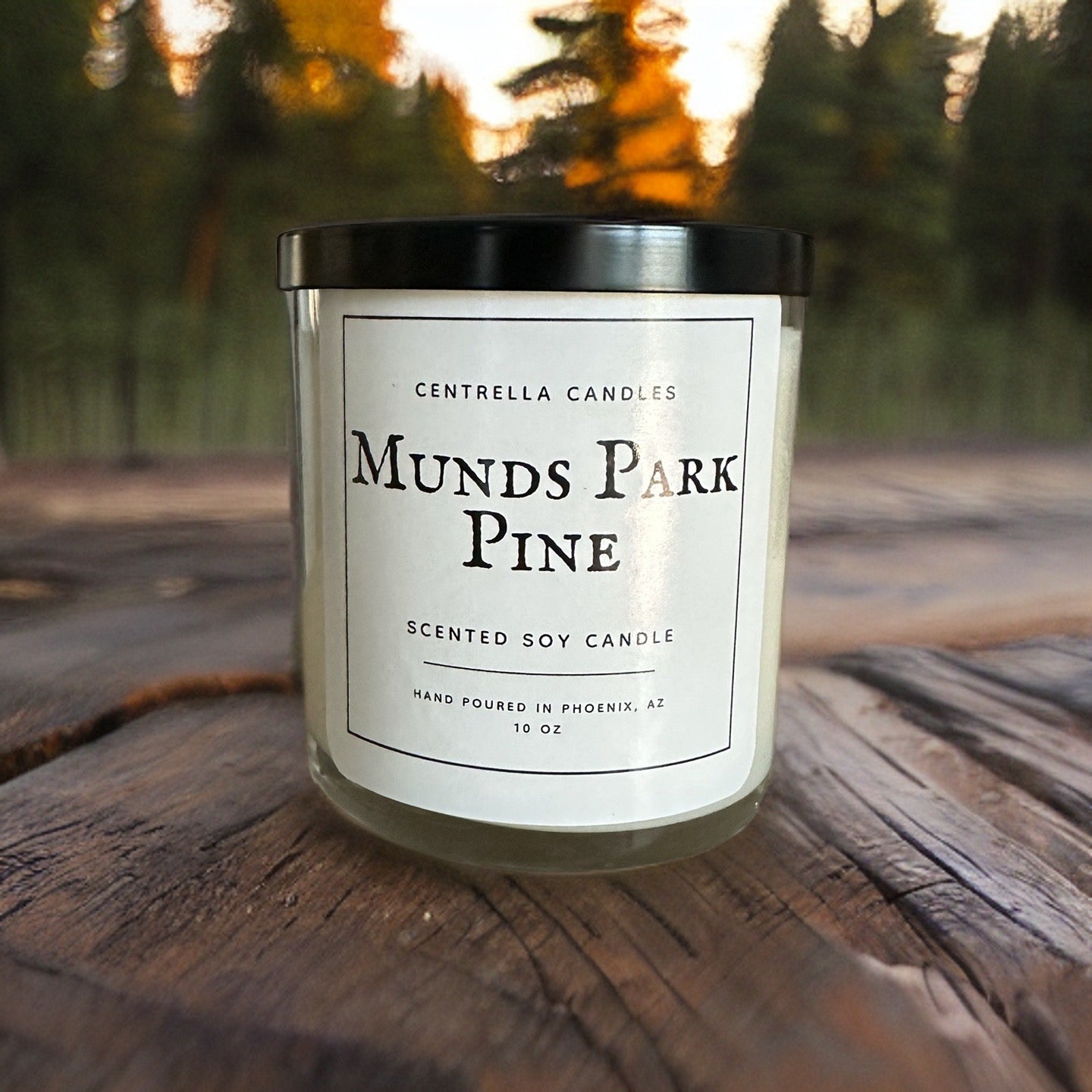 Munds Park Pine