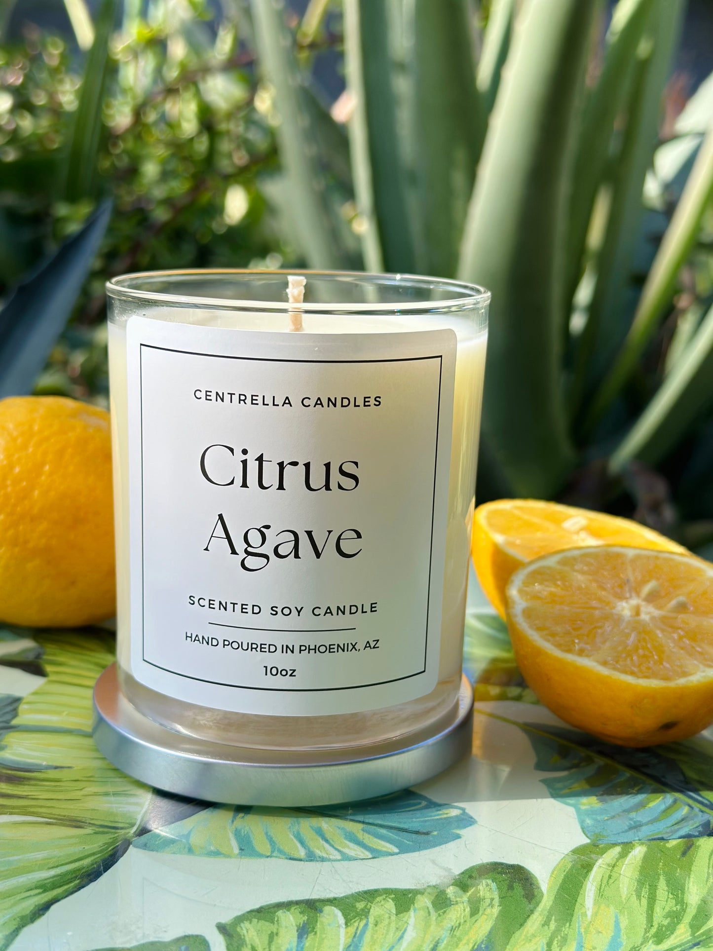 Citrus Agave