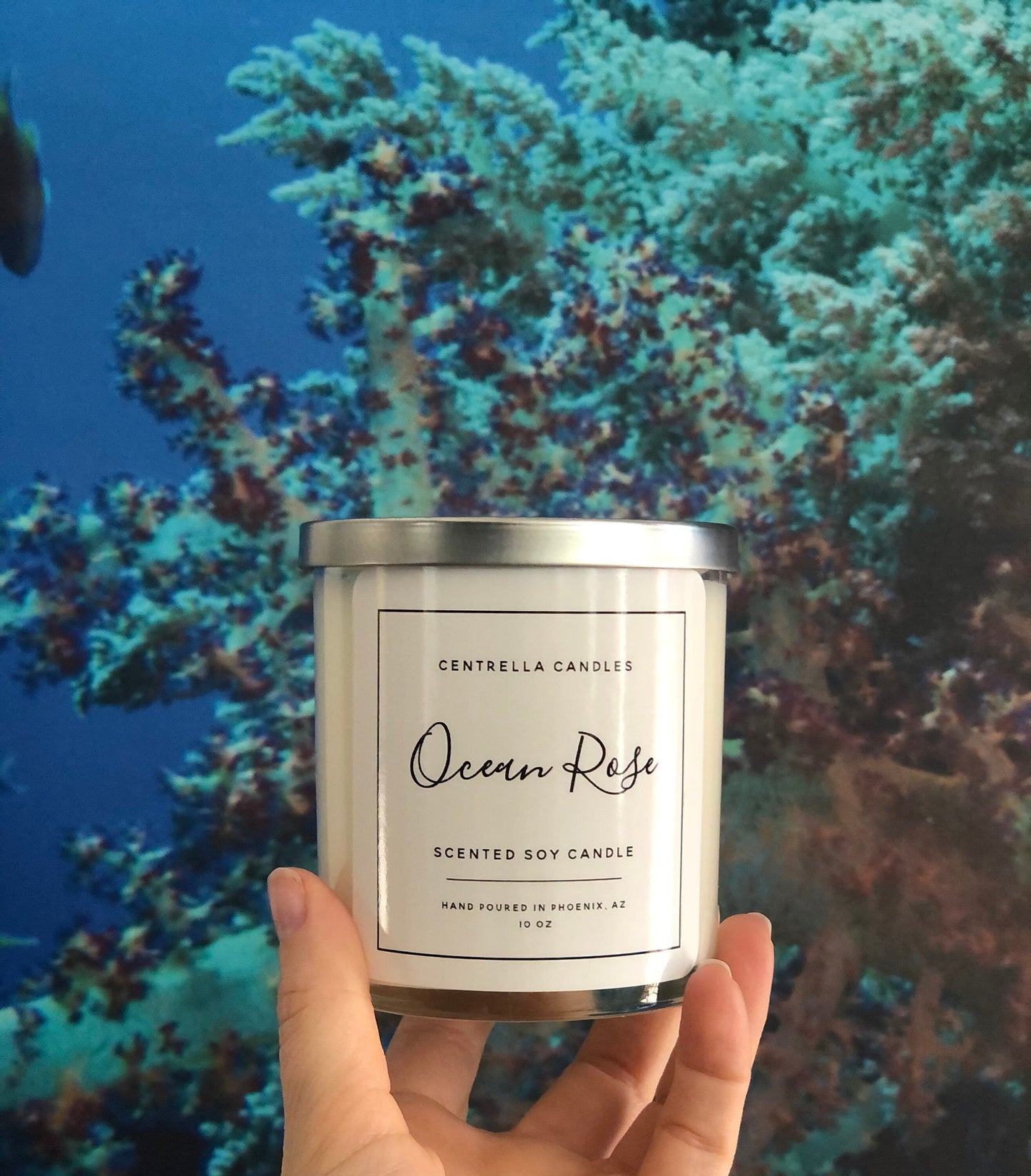 Ocean Rose