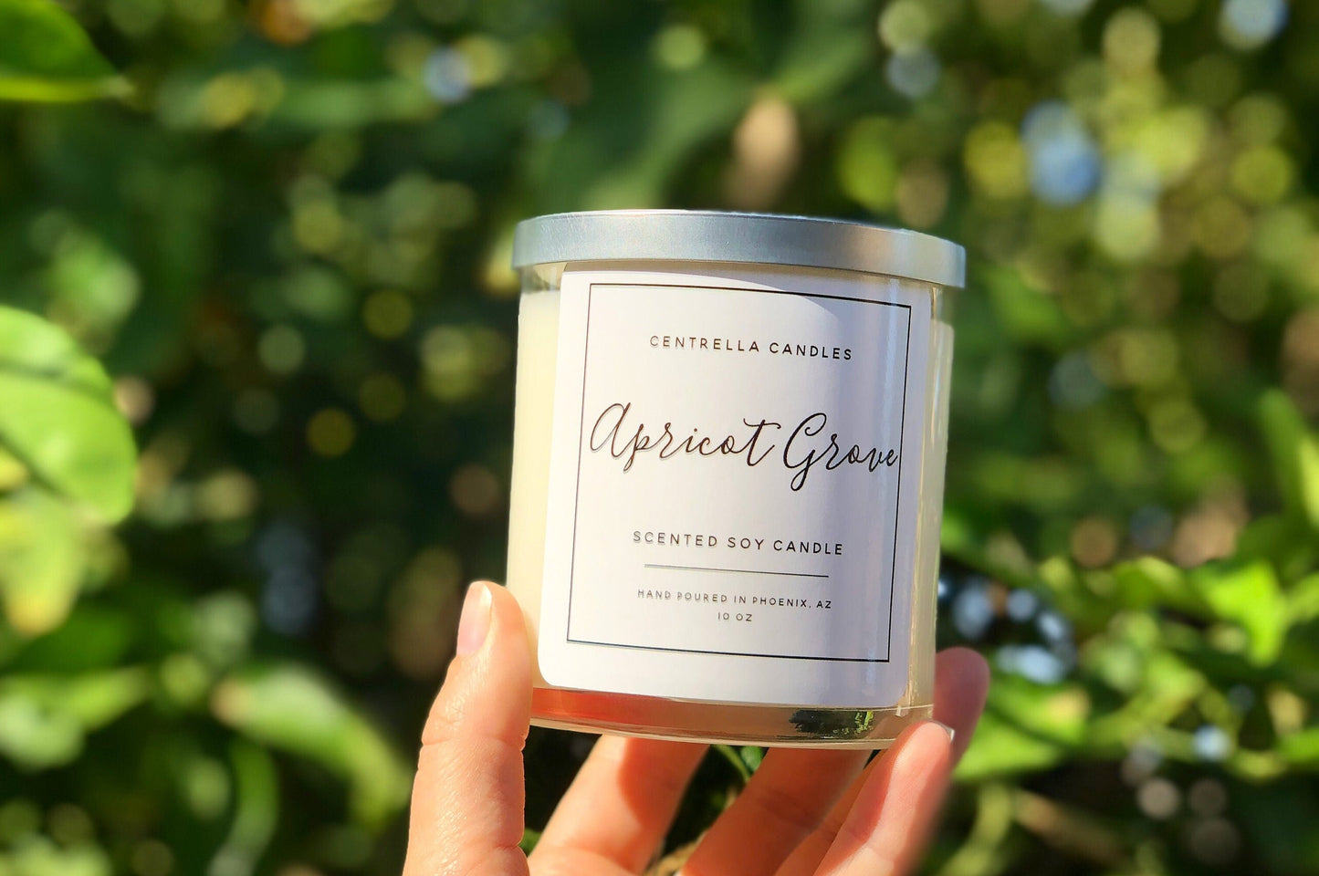 Apricot Grove