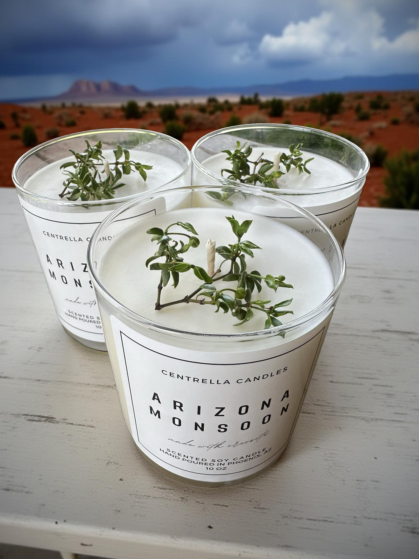Arizona Monsoon Soy Candle - Made with Creosote