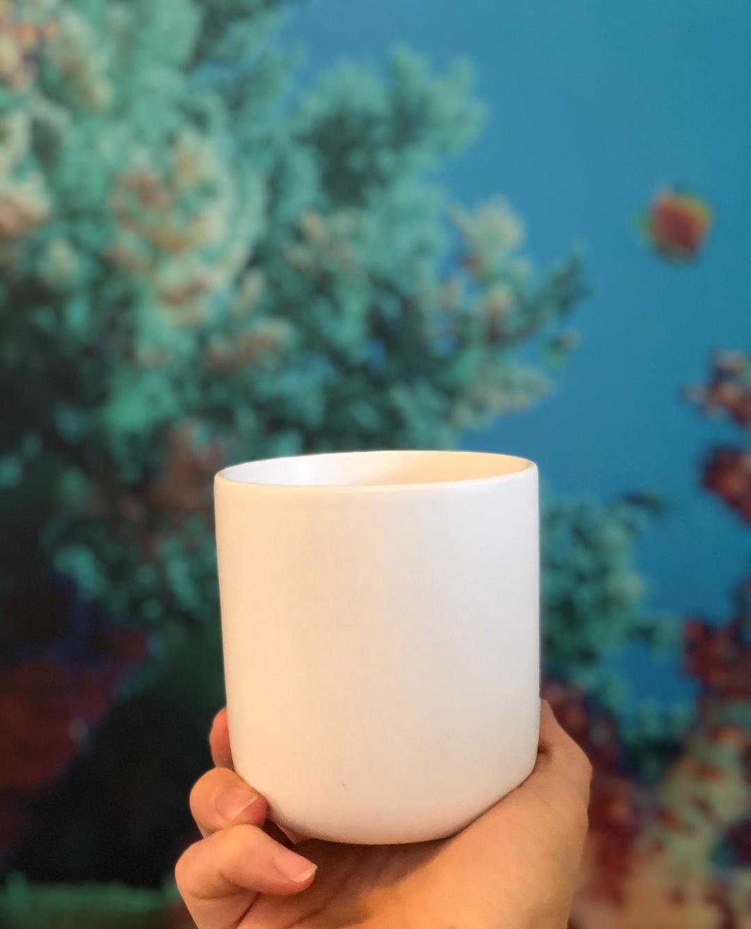 Sea Minerals Soy Candle